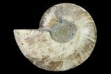 Agatized Ammonite Fossil (Half) - Madagascar #135292-1